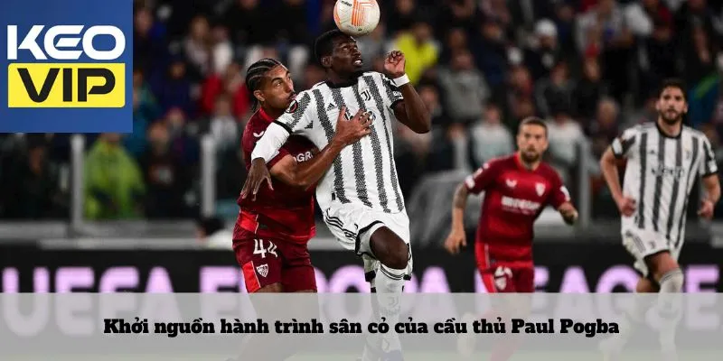 Cầu thủ paul pogba 2 Khởi nguồn hành trình sân cỏ của cầu thủ Paul Pogba