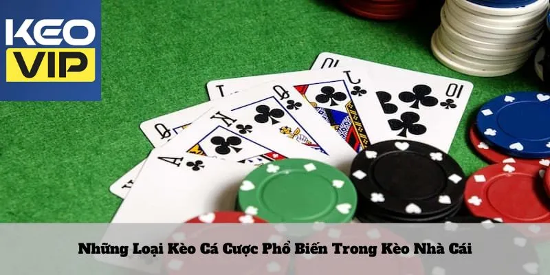 Keo nha cai 18 Những loại kèo cá cược phổ biến trong kèo nhà cái