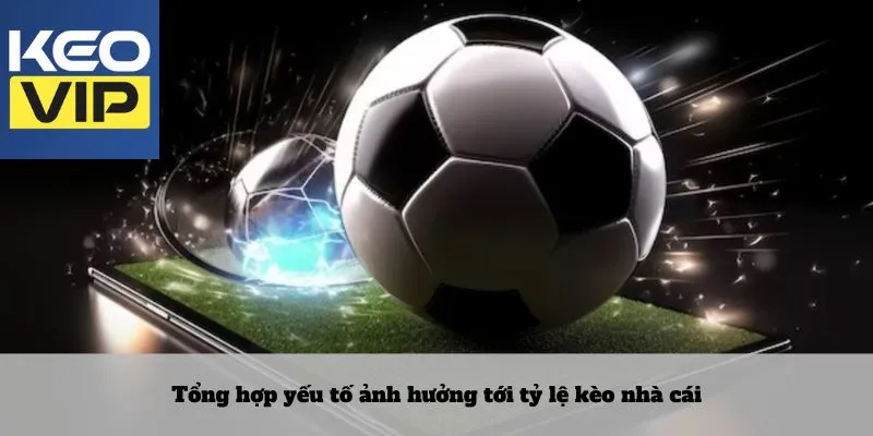 Keo nha cai 23 Tổng hợp yếu tố ảnh hưởng tới tỷ lệ kèo nhà cái