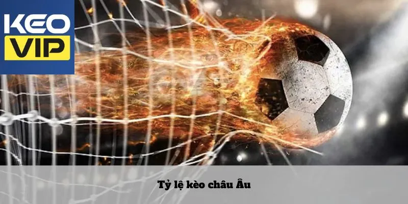 Keo nha cai 20 Kèo châu Âu là loại đơn giản, dễ chơi